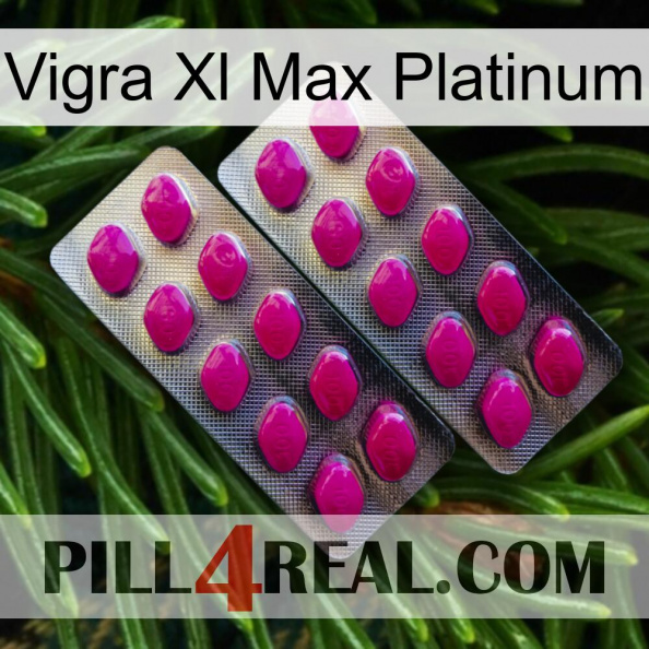 Vigra Xl Max Platinum 10.jpg